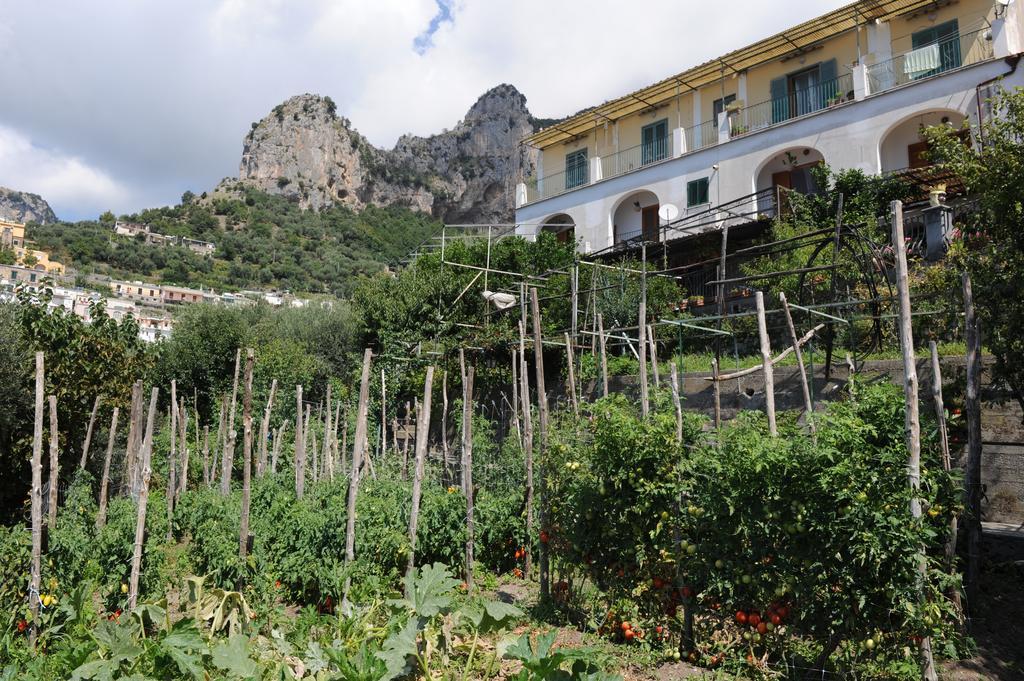 Bed and Breakfast L'Uliveto Positano Exterior foto